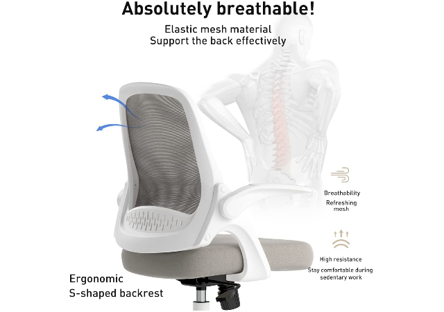 office-chair-with-lumbar-support